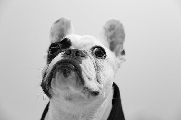 2015-03-15-23-05-57