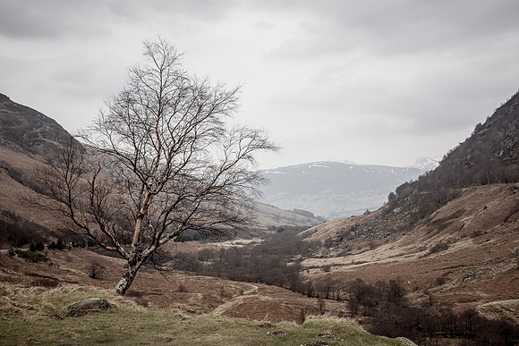 Into the Highlands