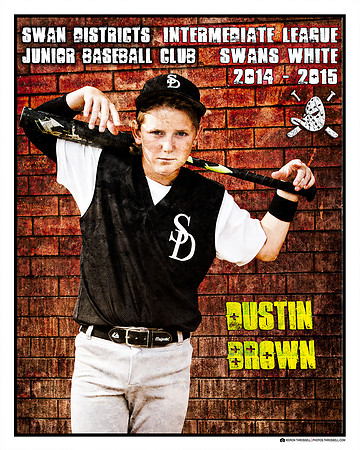 Baseball Life