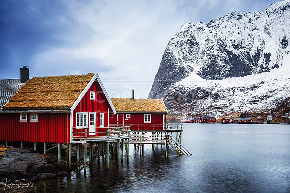 Rorbuer, Reine